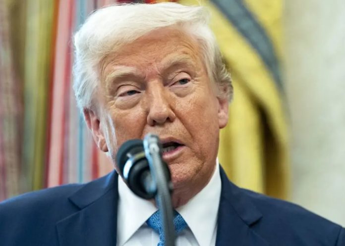 Foto: Plan de Trump para Ucrania /cortesía Foto: Plan de Trump para Ucrania /cortesía