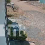 Foto: El ladrón con menos educación en Managua/TN8