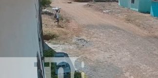 Foto: El ladrón con menos educación en Managua/TN8