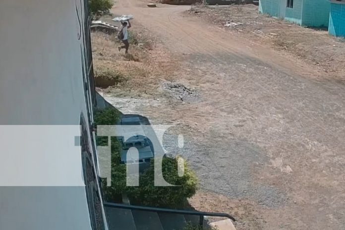 Foto: El ladrón con menos educación en Managua/TN8