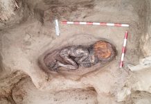 Arqueólogos encuentran en Perú el cuerpo de una mujer de élite Foto:Arqueólogos peruanos descubren tumba con técnicas/Cortesía
