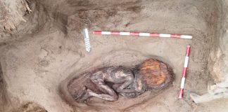 Foto:Arqueólogos peruanos descubren tumba con técnicas/Cortesía