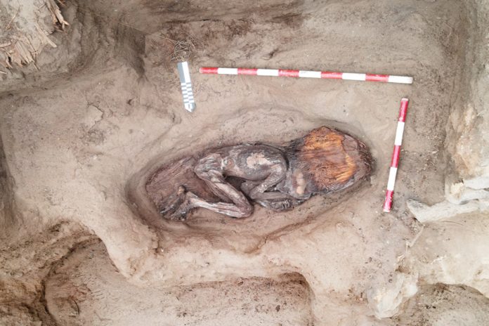 1 Foto:Arqueólogos peruanos descubren tumba con técnicas/Cortesía