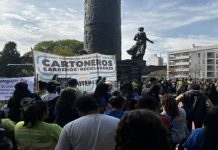 Milei busca cerrar histórica cooperativa de reciclaje en Argentina Foto: Milei avanza contra recicladores /cortesía
