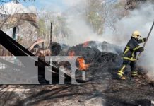 Foto: Incendio arrasa con bodega de alimento para ganado, en una comunidad de Matagalpa/TN8