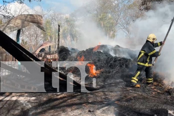 1 Foto: Incendio arrasa con bodega de alimento para ganado, en una comunidad de Matagalpa/TN8