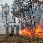 Incendio forestal en Somoto amenaza zona fronteriza y desata emergencia ambiental