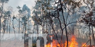 Incendio forestal en Somoto amenaza zona fronteriza y desata emergencia ambiental