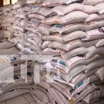 Niños y niñas contarán con merienda escolar tras segunda entrega en Boaco Foto: Niños y niñas contarán con merienda escolar tras segunda entrega en Camoapa/TN8