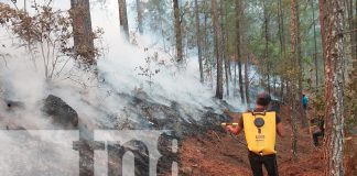 Foto: Incendio forestal en San José de Cusmapa, en Madriz/TN8