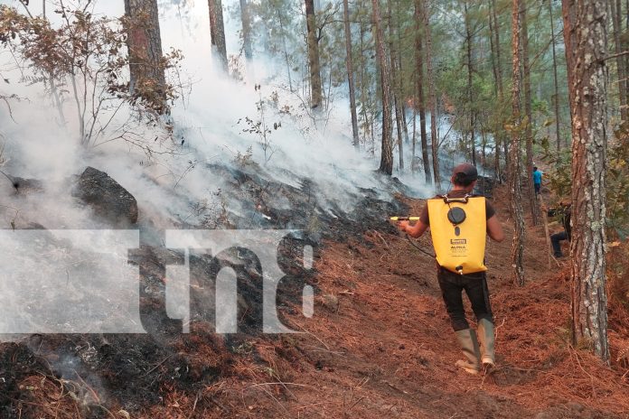 Foto: Incendio forestal en San José de Cusmapa, en Madriz/TN8