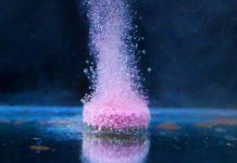 Foto: Vitamina B1: un logro histórico /cortesía