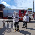 Foto: Abejas africanizadas atacan a vecinos en Batahola Sur /TN8