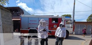 Foto: Abejas africanizadas atacan a vecinos en Batahola Sur /TN8