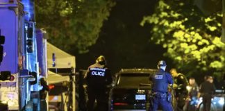 Foto: 11 muertos en un atropello masivo en Canadá /Cortesía