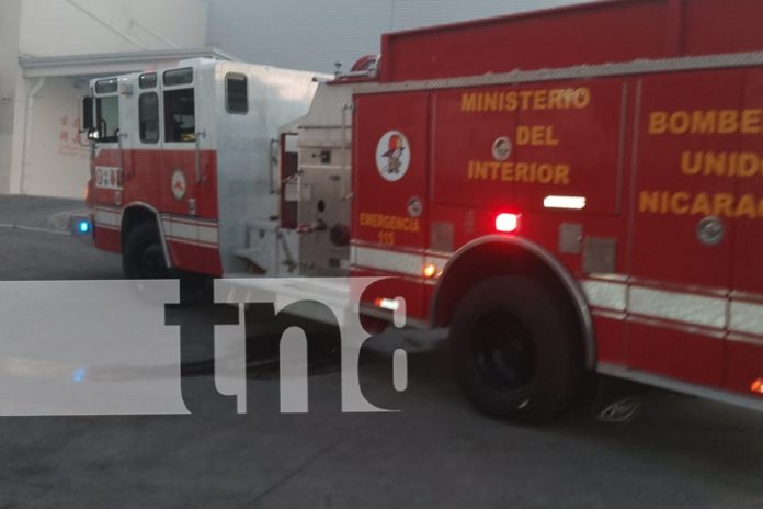 Foto:  Fuego genera alarma en Zona Franca de Los Brasiles/TN8 Foto: Fuego genera alarma en Zona Franca de Los Brasiles/TN8