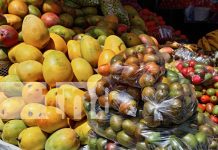 Foto: Alcaldesa de Managua visita el Mercado Mayoreo /TN8