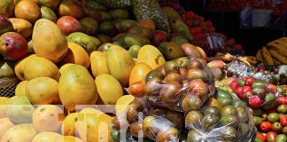 Foto: Alcaldesa de Managua visita el Mercado Mayoreo /TN8