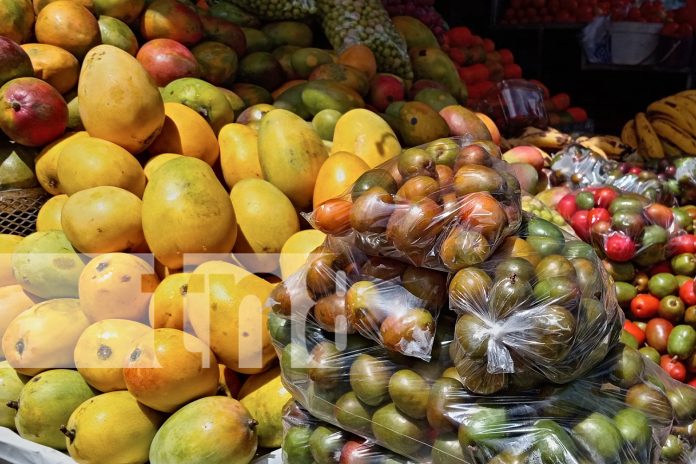 Foto: Alcaldesa de Managua visita el Mercado Mayoreo /TN8 Foto: Alcaldesa de Managua visita el Mercado Mayoreo /TN8