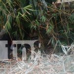 Foto: Camioneta vuelca y deja un joven muerto en la carretera Matagalpa-La Dalia/TN8