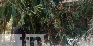 Foto: Camioneta vuelca y deja un joven muerto en la carretera Matagalpa-La Dalia/TN8