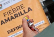 Fiebre amarilla avanza en Colombia: decretan emergencia sanitaria y económica Foto:Colombia enfrenta un brote de fiebre amarilla/Cortesía