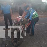 Conmoción en Ometepe: joven motociclista pierde la vida tras brutal impacto Foto: Exceso de velocidad le arrebata la vida a joven de Ometepe /TN8