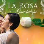 “Fan de su relación”: Ángela pide que corran al escritor de La Rosa de Guadalupe