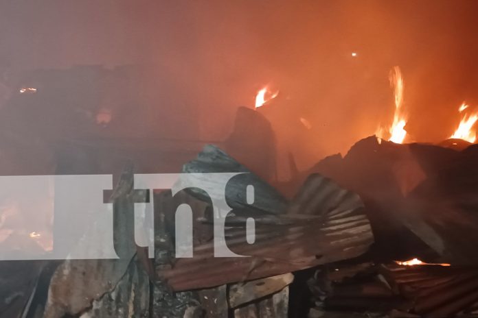 Foto: Incendio arrasa con una vivienda en Managua/TN8 Foto: Incendio arrasa con una vivienda en Managua/TN8