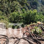 «La chicharra» se lanza a un abismo tras robar celular en El Crucero Foto: "La chicharra" se lanza a un abismo tras robar celular en El Crucero/TN8