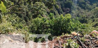 Foto: "La chicharra" se lanza a un abismo tras robar celular en El Crucero/TN8