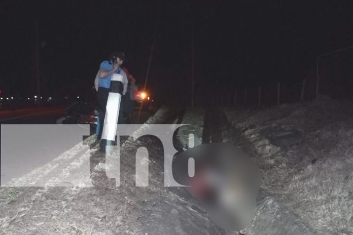 2 Foto: Motociclista muere tras impactar contra un caballo en carretera a La Concordia/TN8