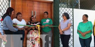 Foto: , URACCAN fortalece sus instalaciones en el Recinto Bilwi/TN8