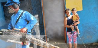 Foto: Familias de Managua se benefician de la jornada antiepidémica /TN8