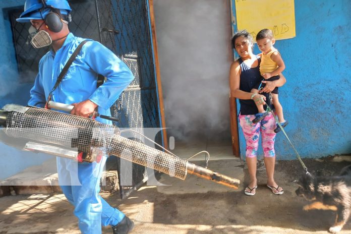 Foto: Familias de Managua se benefician de la jornada antiepidémica /TN8 Foto: Familias de Managua se benefician de la jornada antiepidémica /TN8