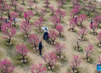 Foto: Espectáculo de flores en Xi'An, China