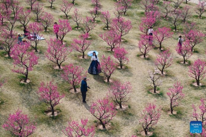 Foto: Espectáculo de flores en Xi'An, China Foto: Espectáculo de flores en Xi'An, China