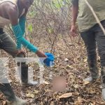 Policía investiga hallazgo de recién nacido en comunidad de San José de Bocay Foto: Encuentran un bebé en zona montosa de San José de Bocay /TN8