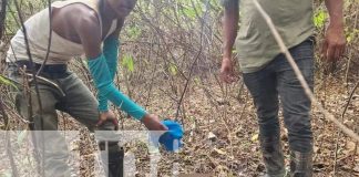 Foto: Encuentran un bebé en zona montosa de San José de Bocay /TN8