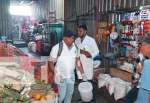 Foto: Campaña de desratización busca proteger a miles de familias en Boaco/TN8