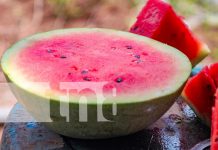 Fotos: Tisma lidera la producción de frutas frescas en Masaya/TN8
