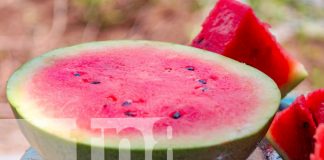 Fotos: Tisma lidera la producción de frutas frescas en Masaya/TN8
