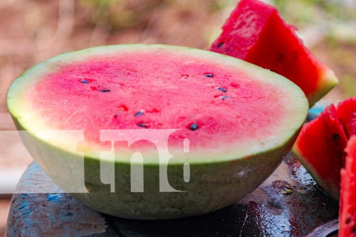 Fotos: Tisma lidera la producción de frutas frescas en Masaya/TN8