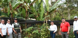 Foto:Mujeres Lideran COSAMESPE en Jinotega/Cortesía