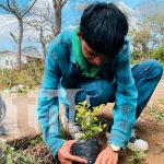 ¡Jóvenes plantan futuro! Estudiantes reforestan Jinotepe con 100 árboles Foto: jóvenes de Jinotepe reforestan con amor por Nicaragua/TN8