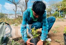 Foto: jóvenes de Jinotepe reforestan con amor por Nicaragua/TN8