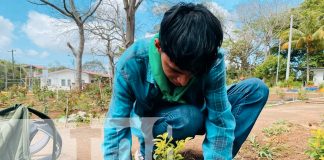 Foto: jóvenes de Jinotepe reforestan con amor por Nicaragua/TN8