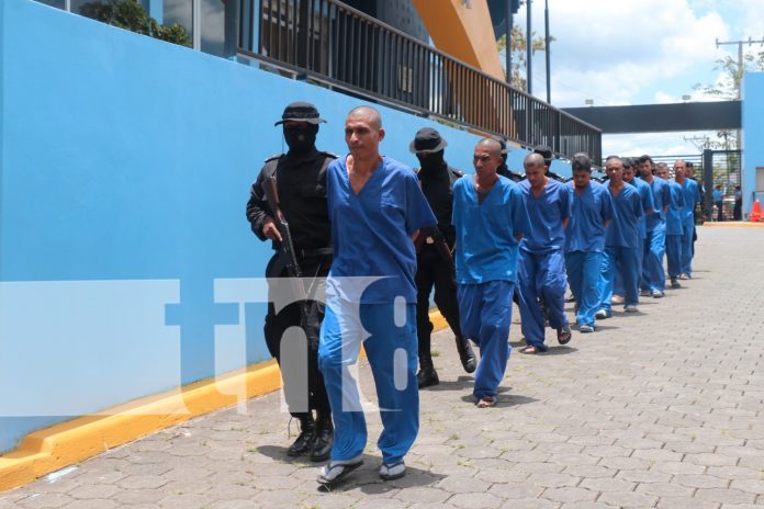 Foto: Policía Nacional captura a 12 delincuentes/TN8
