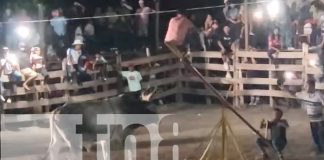 Foto: Toro embiste a hombre en plena barrera de Ometepe/TN8