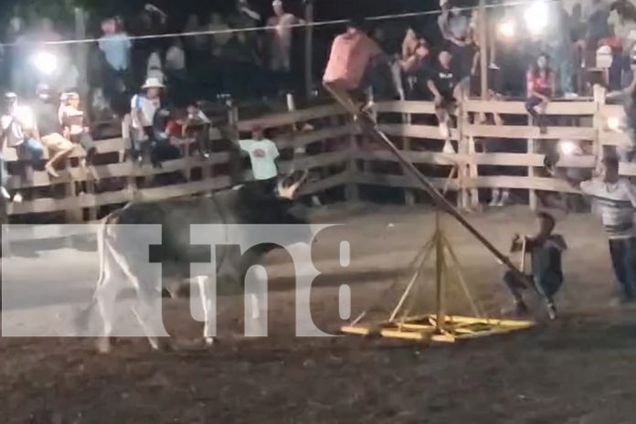 Foto: Toro embiste a hombre en plena barrera de Ometepe/TN8
